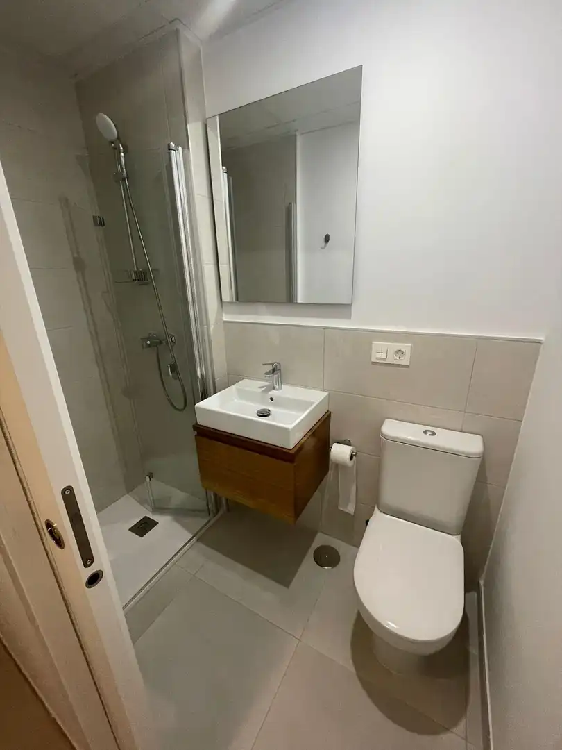 Apartment with pool to rent in Calle Verdi 1, imagen 7