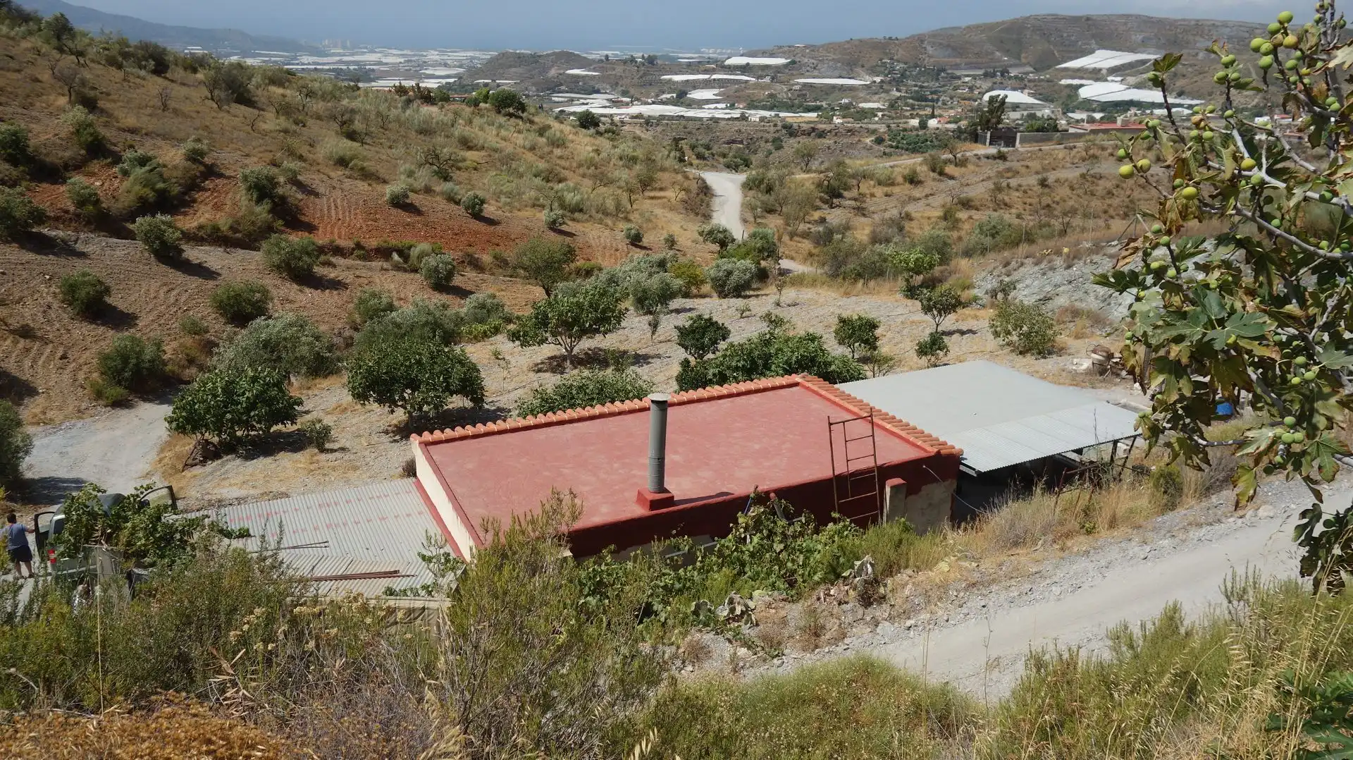 Vista exterior de Finca rústica en venda en Motril amb Terrassa i Moblat