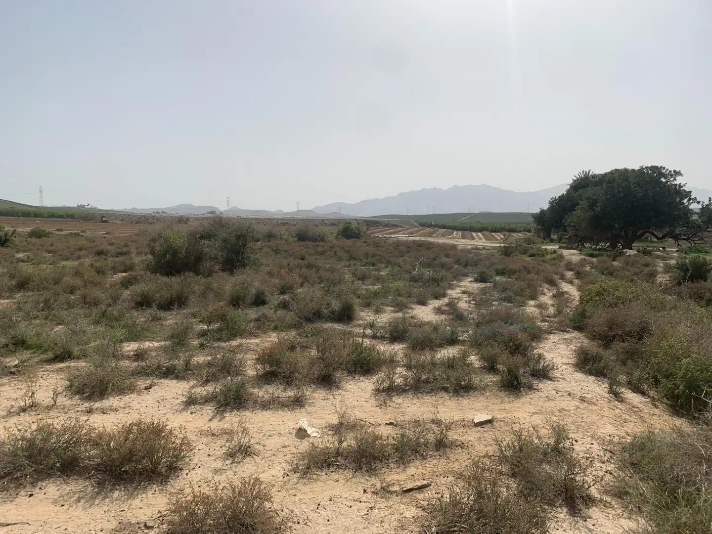 Finca rústica en venda en Vera