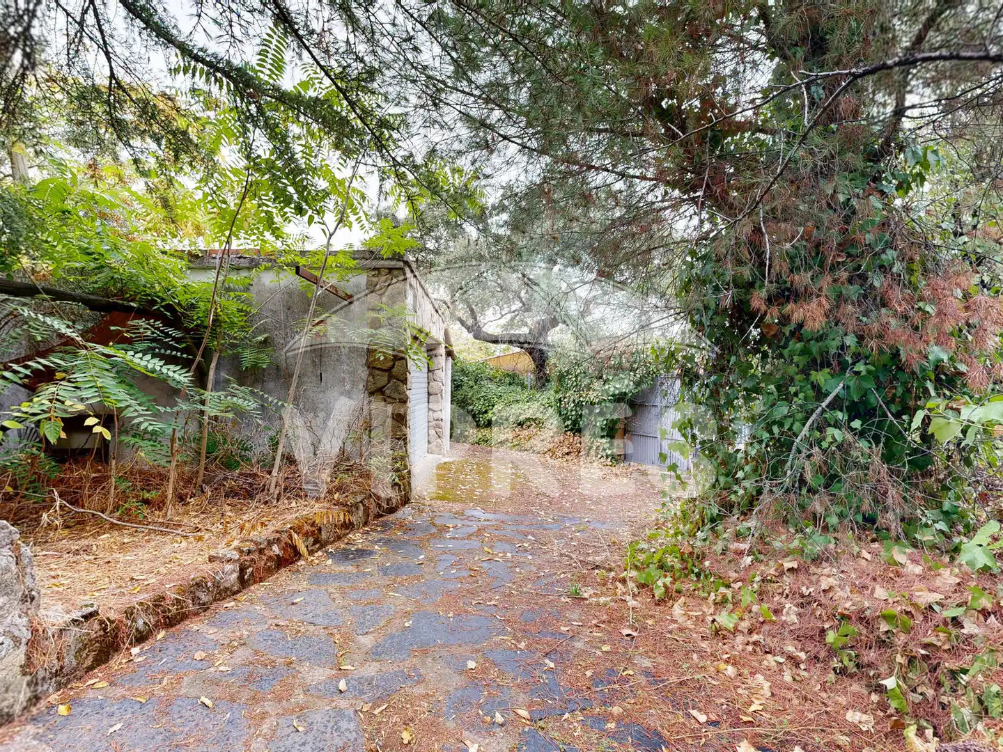 Xalet amb piscina en venda a Casar de Cáceres, imagen 43