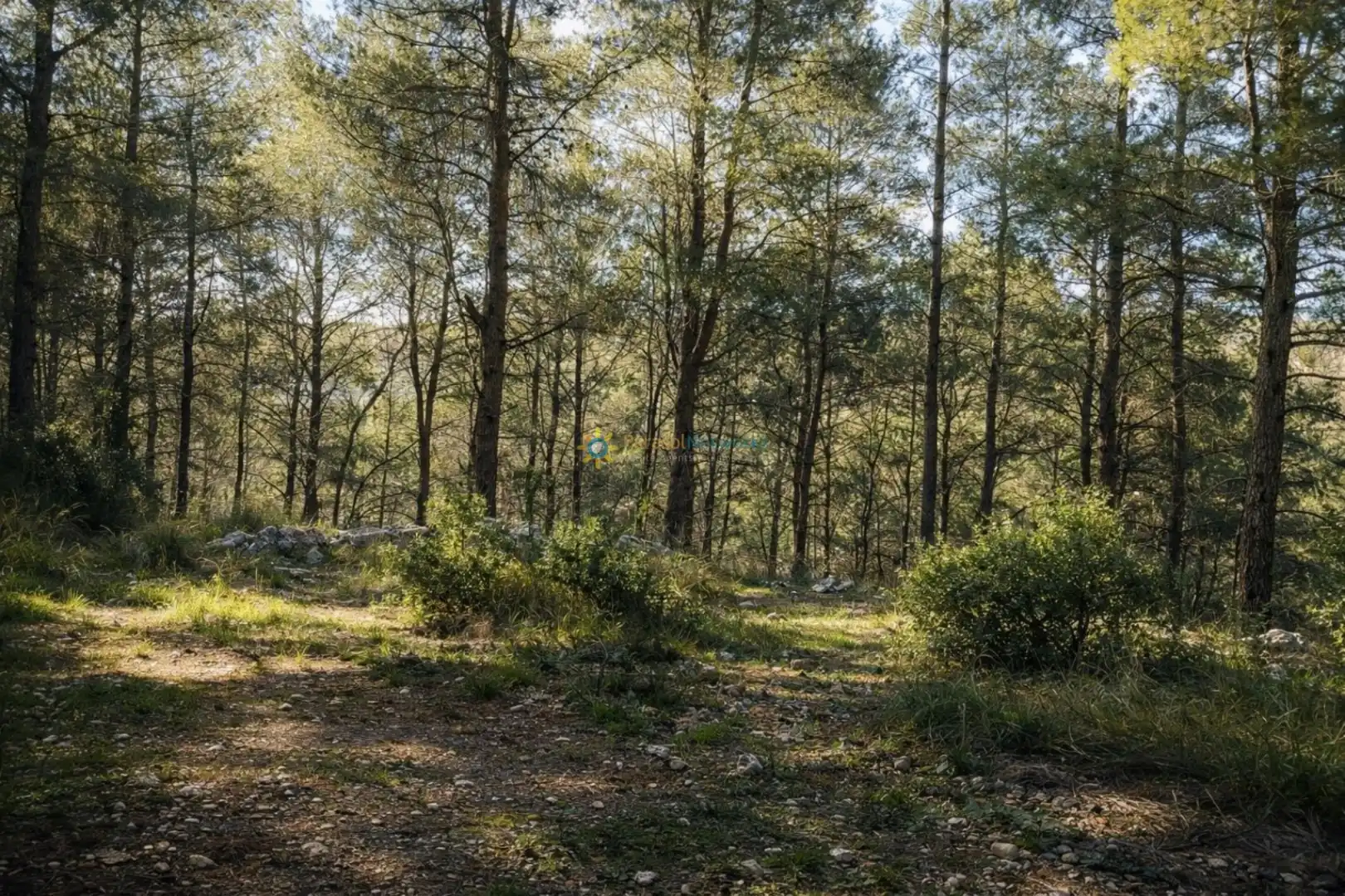Finca rústica en venda en Muro de Alcoy amb Jardí privat, Terrassa i Traster