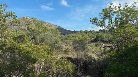 Foto 4 de Terreno en venta en Carrer de Sant Llorenç del Cardassar, 59, Artà Poble, Illes Balears