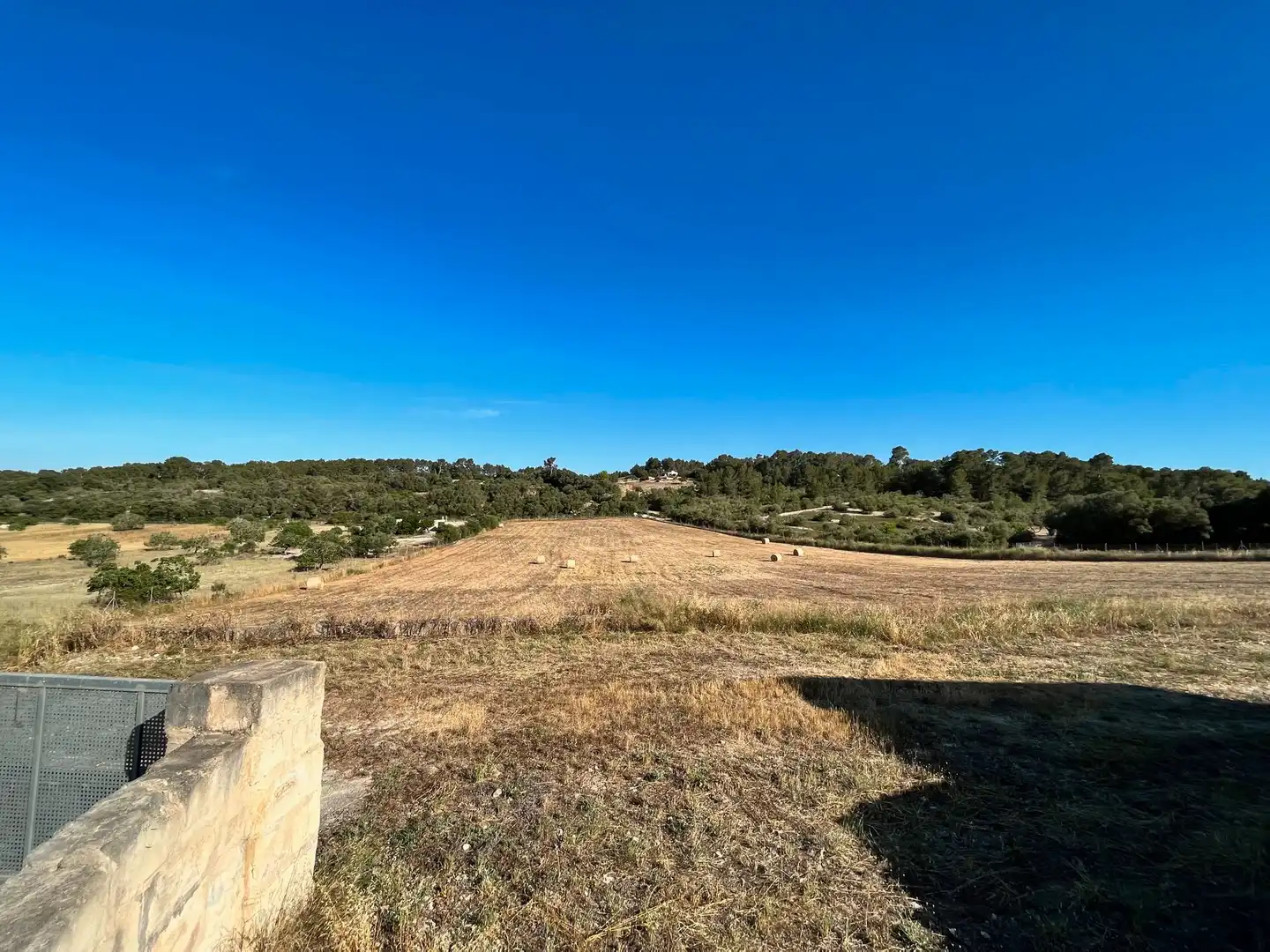 Finca rústica en venta en Sant Joan