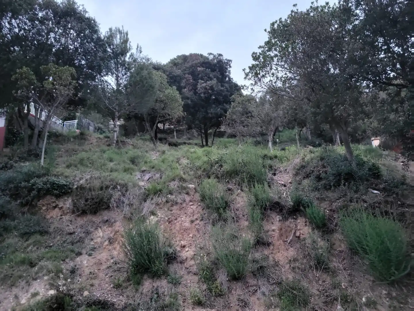 Terreny residencial en venda a Carrer Mirador, imagen 12