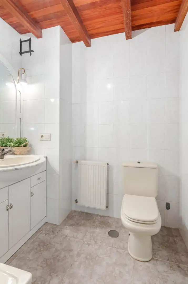 House with terrace for sale in Carretera DE PIÑERA A SAN CRISTOBAL 2354, imagen 34