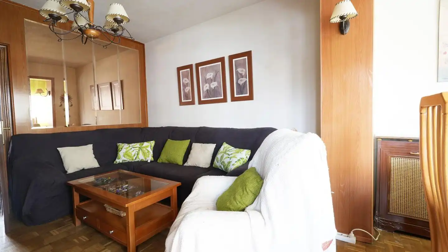 Sala d'estar de Pis en venda en Madrid amb Aire condicionat i Terrassa
