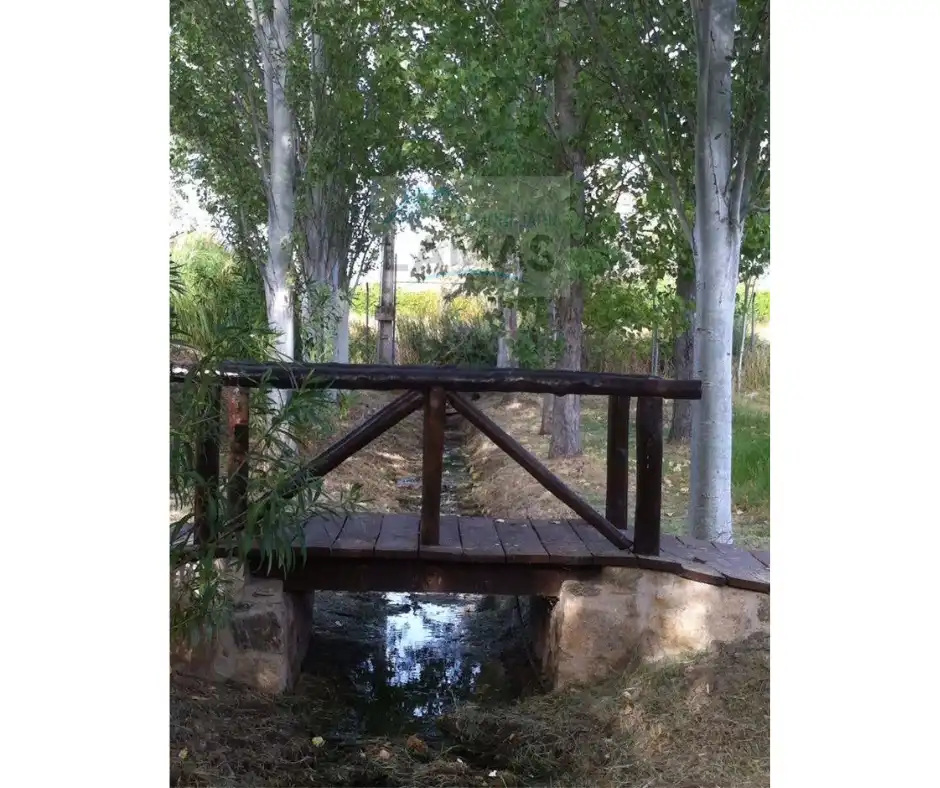 Jardí de Finca rústica en venda en Belvís de Monroy amb Aire condicionat, Jardí privat i Piscina