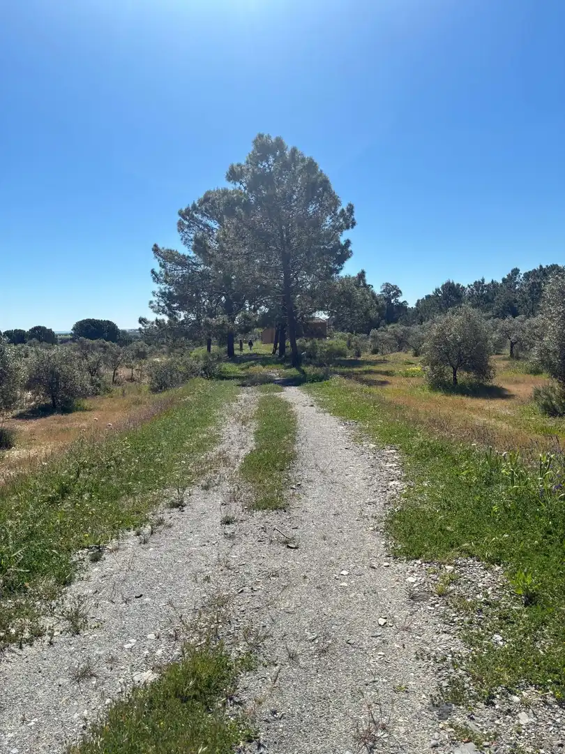 Terreno en venta en Gibraleón