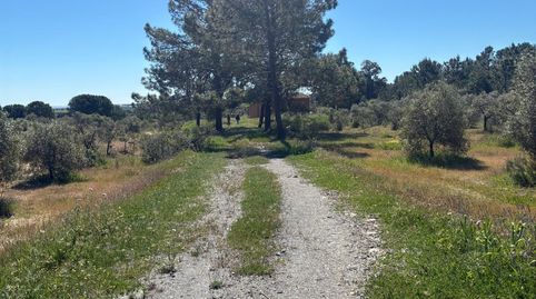 Finca rústica en Gibraleón, immagine 4