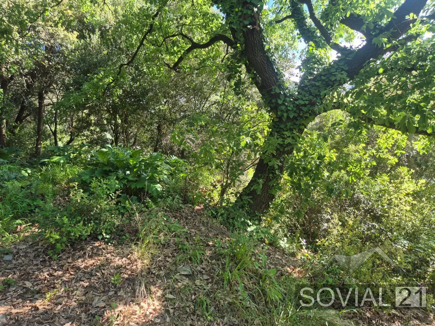 Terreno residenziale in vendita a Les Planes, imagen 18