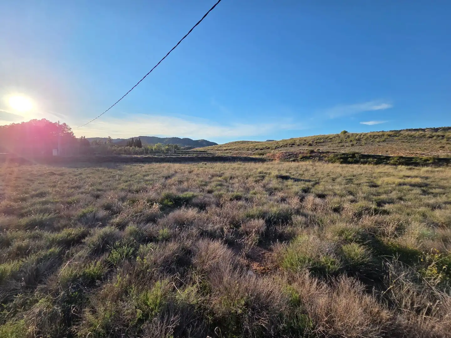 Residential land for sale in Yecla, imagen 6