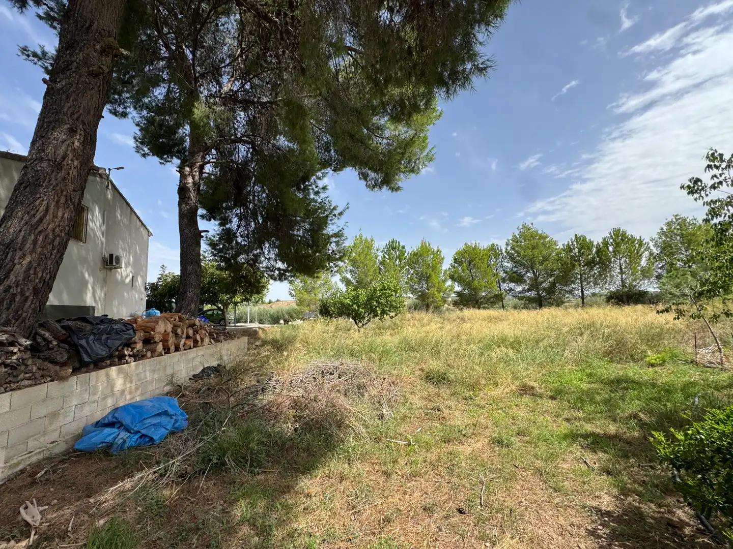 Houses for sale in Diseminado Escobar, 224, Cehegín