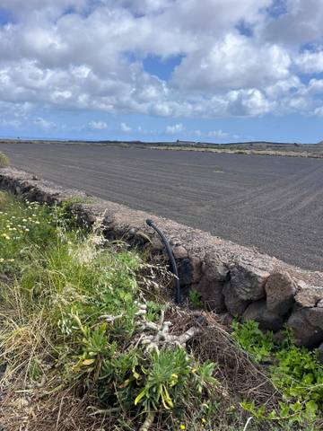 Terreno en Venta en Costa Teguise