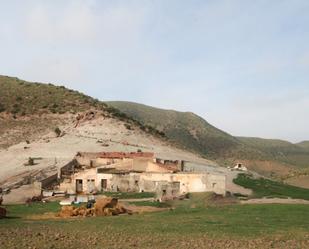 Exterior view of Country house for sale in Níjar