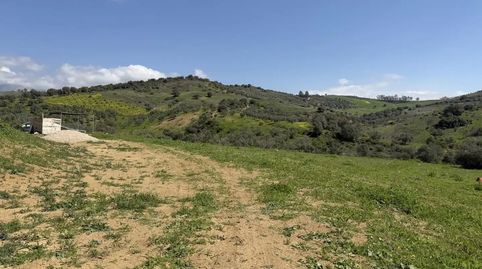 Foto 5 de Finca rústica en venda a Calle Carril de las Casillas, 2, Viñuela, Málaga