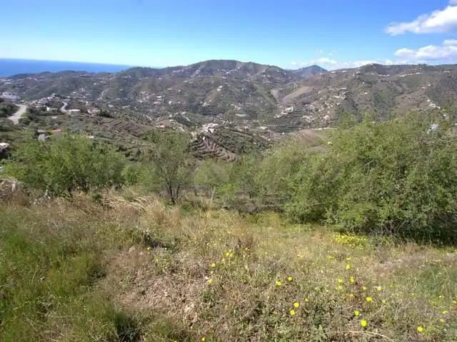 Terreni e lotti in vendita a Torrox Pueblo, imagen 2