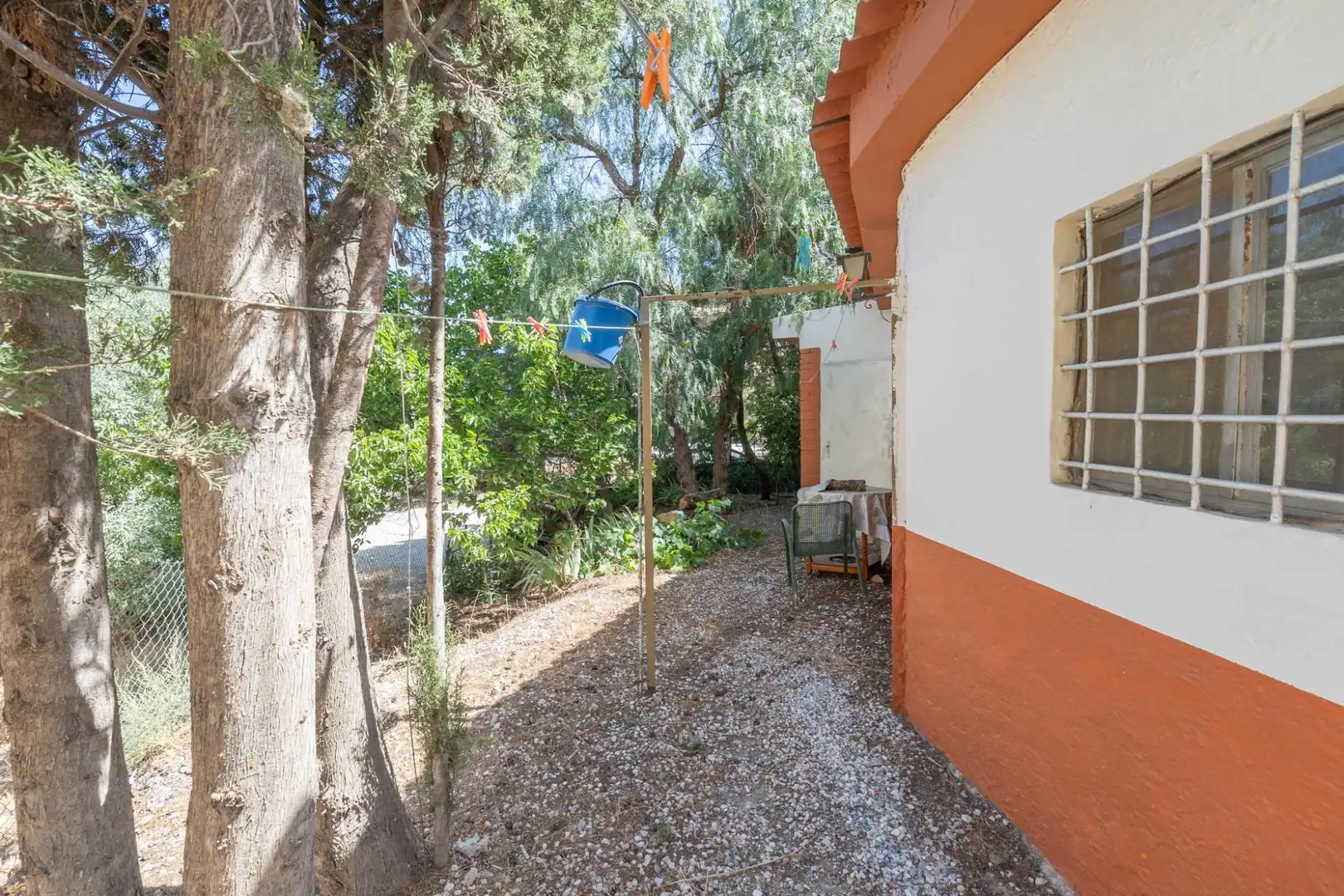 Vista exterior de Finca rústica en venta en Caniles