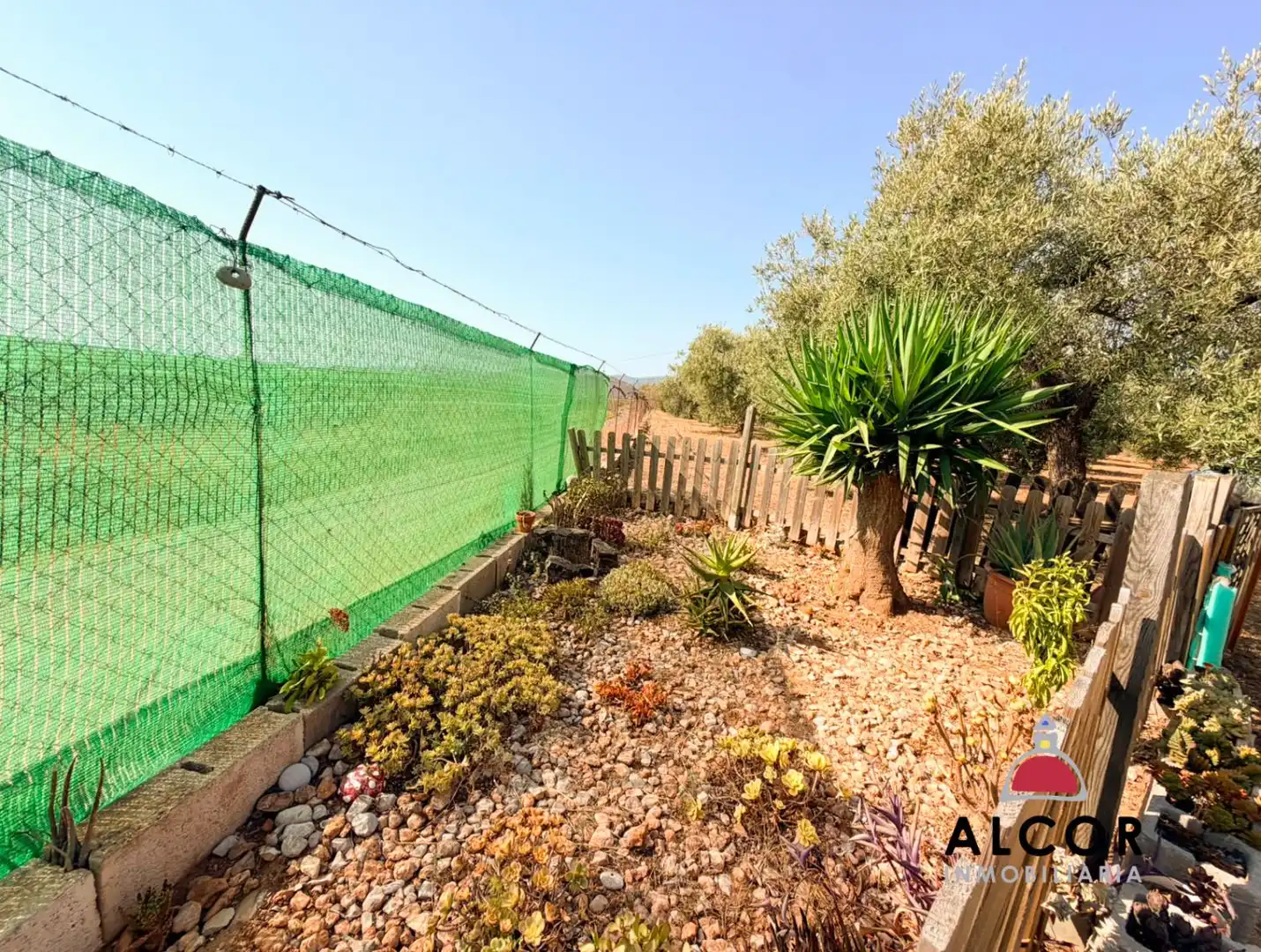 Jardín de Finca rústica en venta en Peñíscola / Peníscola