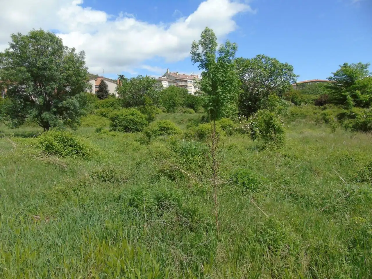 Terreno rustico in vendita a Berga, imagen 11