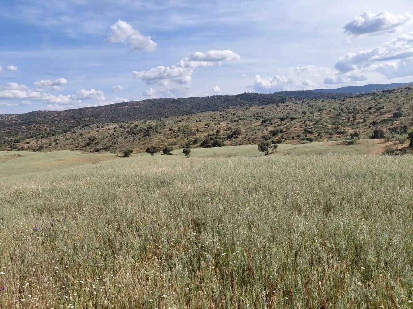 Finca rústica en venda en Fuente de Cantos amb Jardí privat, Forn i Rentadora