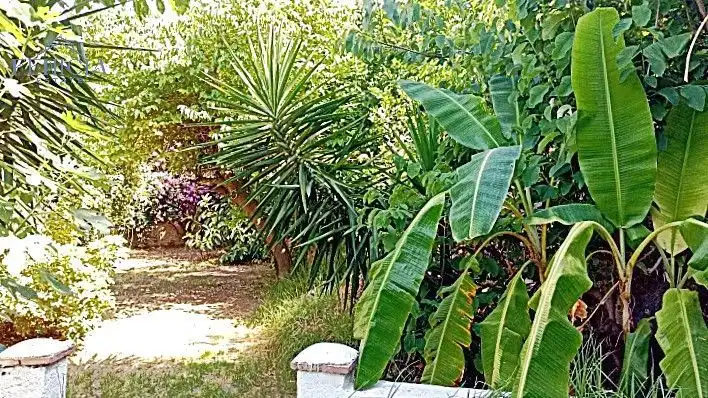 Jardí de Finca rústica en venda en Otívar amb Jardí privat i Terrassa