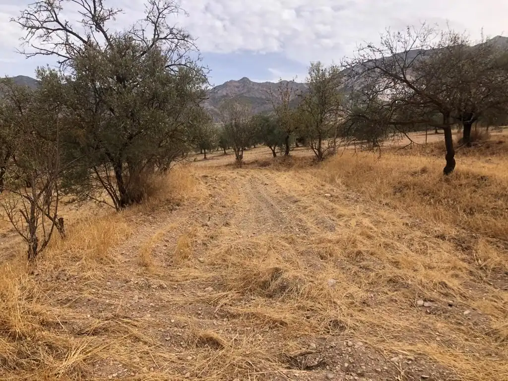 Rural land for sale in Dúrcal, imagen 8