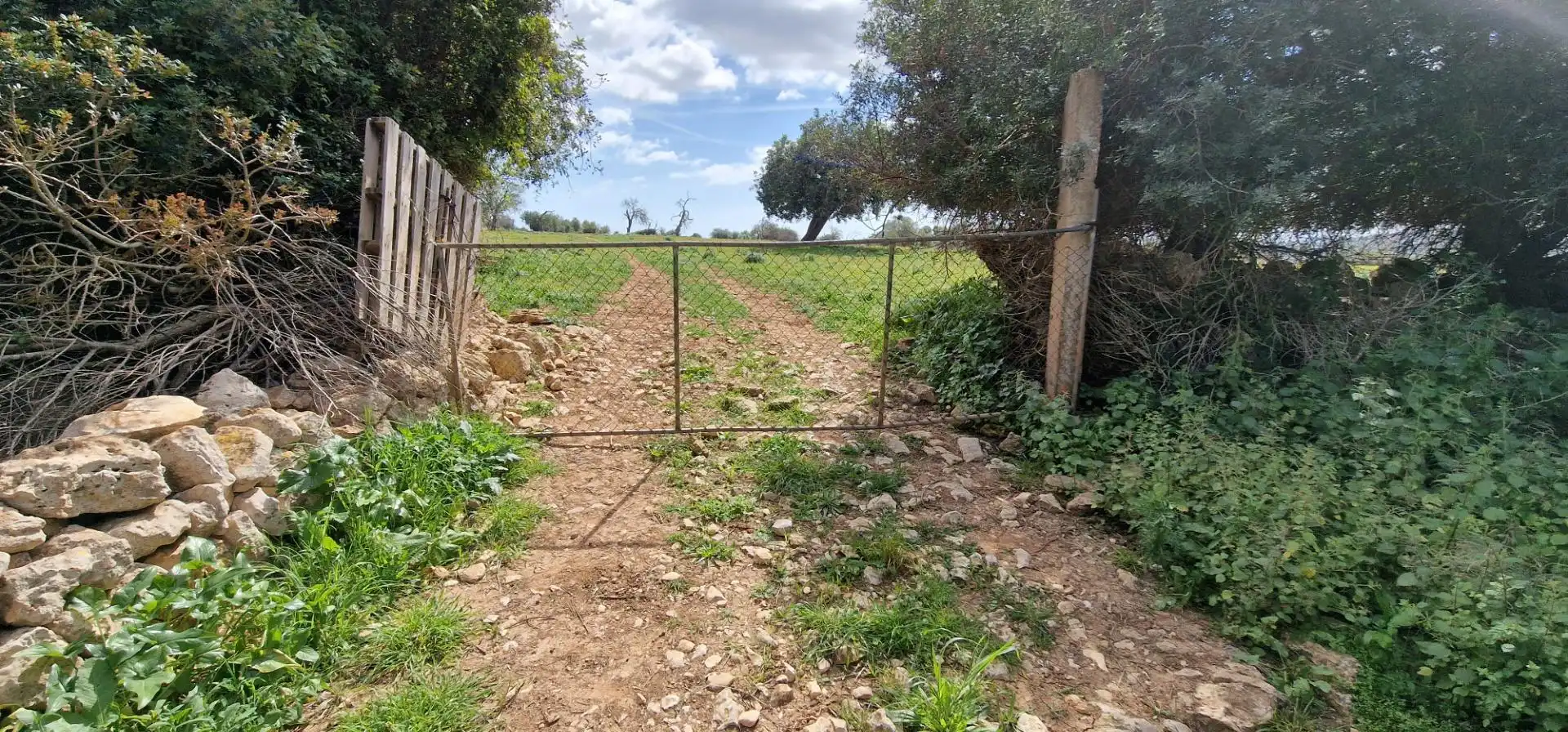 Country homes for sale in Manacor