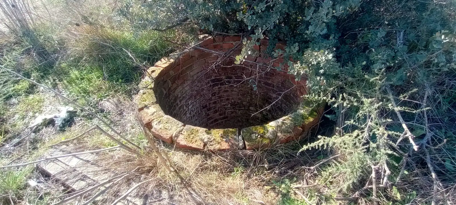 Garden of Land for sale in Navalcarnero