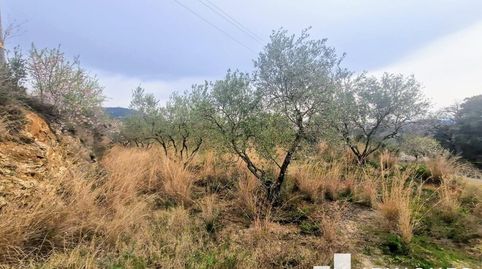 Photo 4 of Land for sale in El Racó - Sant Feliu del Racó, Castellar del Vallès