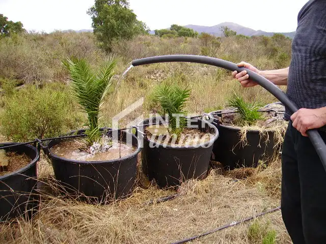 Terreny residencial en venda a Polígono Butaros 181, imagen 9