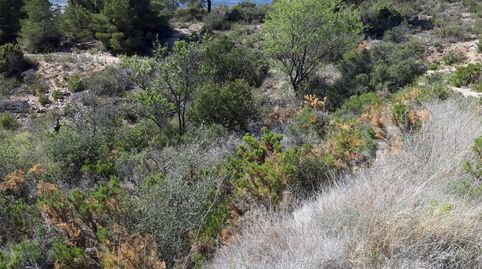Foto 5 de Terreno en venta en Gandesa, Tarragona