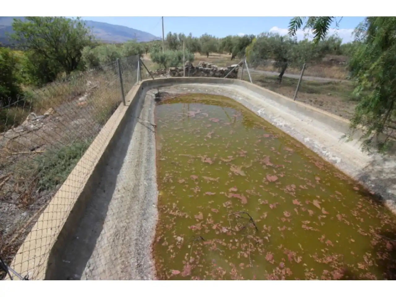 Country house for sale in Tabernas, imagen 9