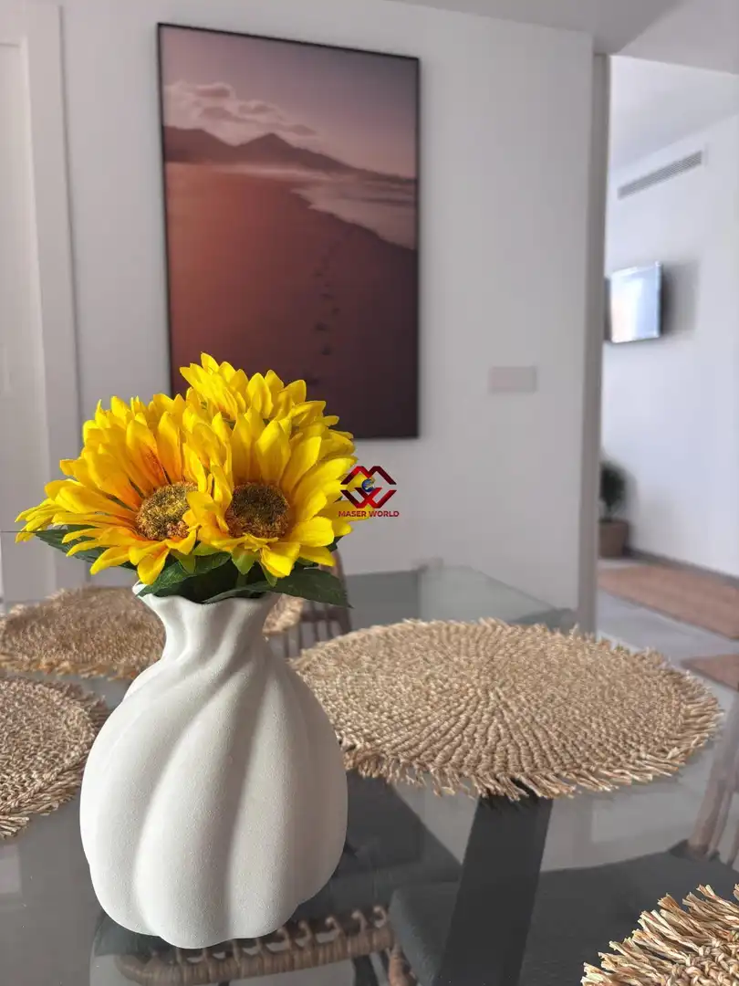 Apartament amb terrassa en venda a San Pedro del Pinatar, imagen 11