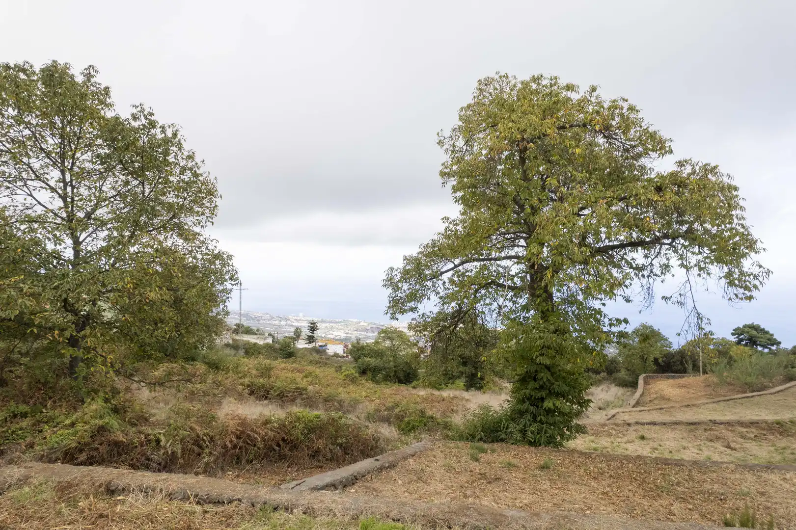 Terreno rustico in vendita a Camino Bebedero, imagen 19
