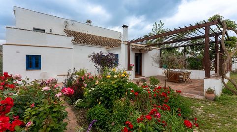 Foto 3 de Finca rústica en venta en Centro, Alhaurín El Grande