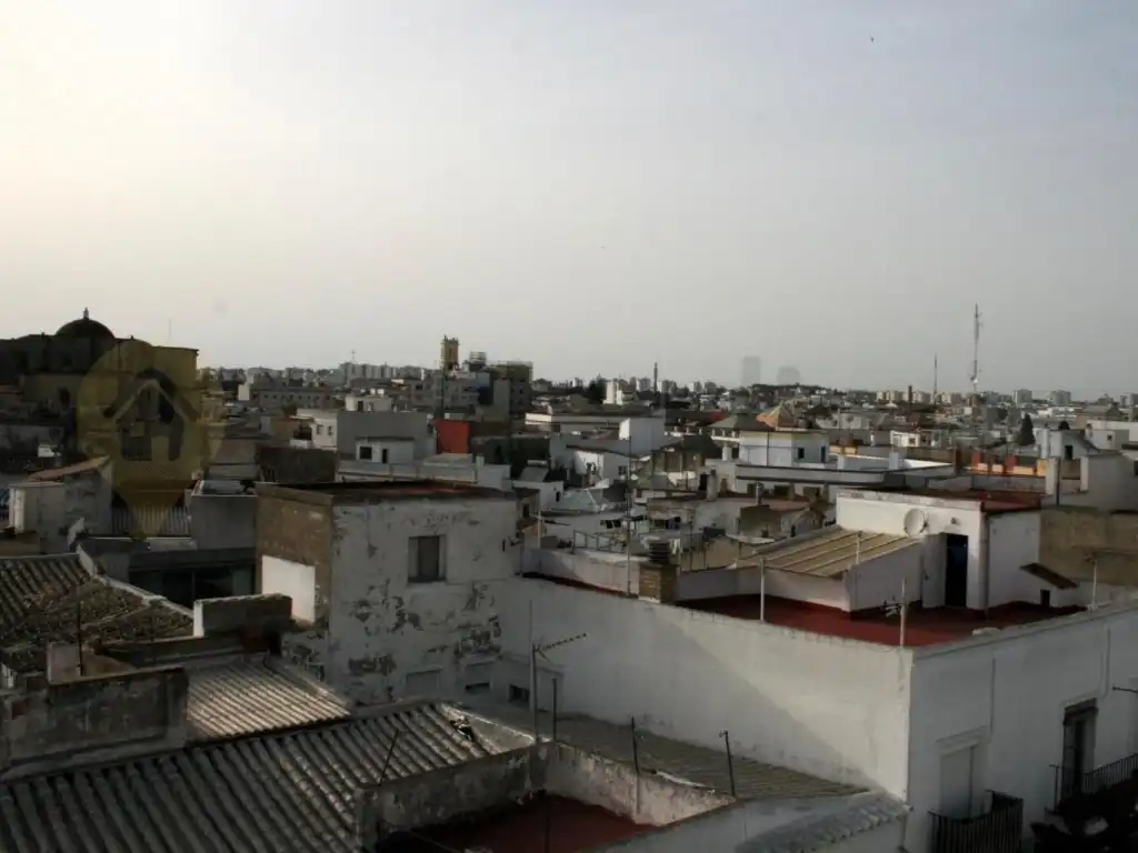 Exterior view of Houses for sale in Jerez de la Frontera  with Terrace and TV
