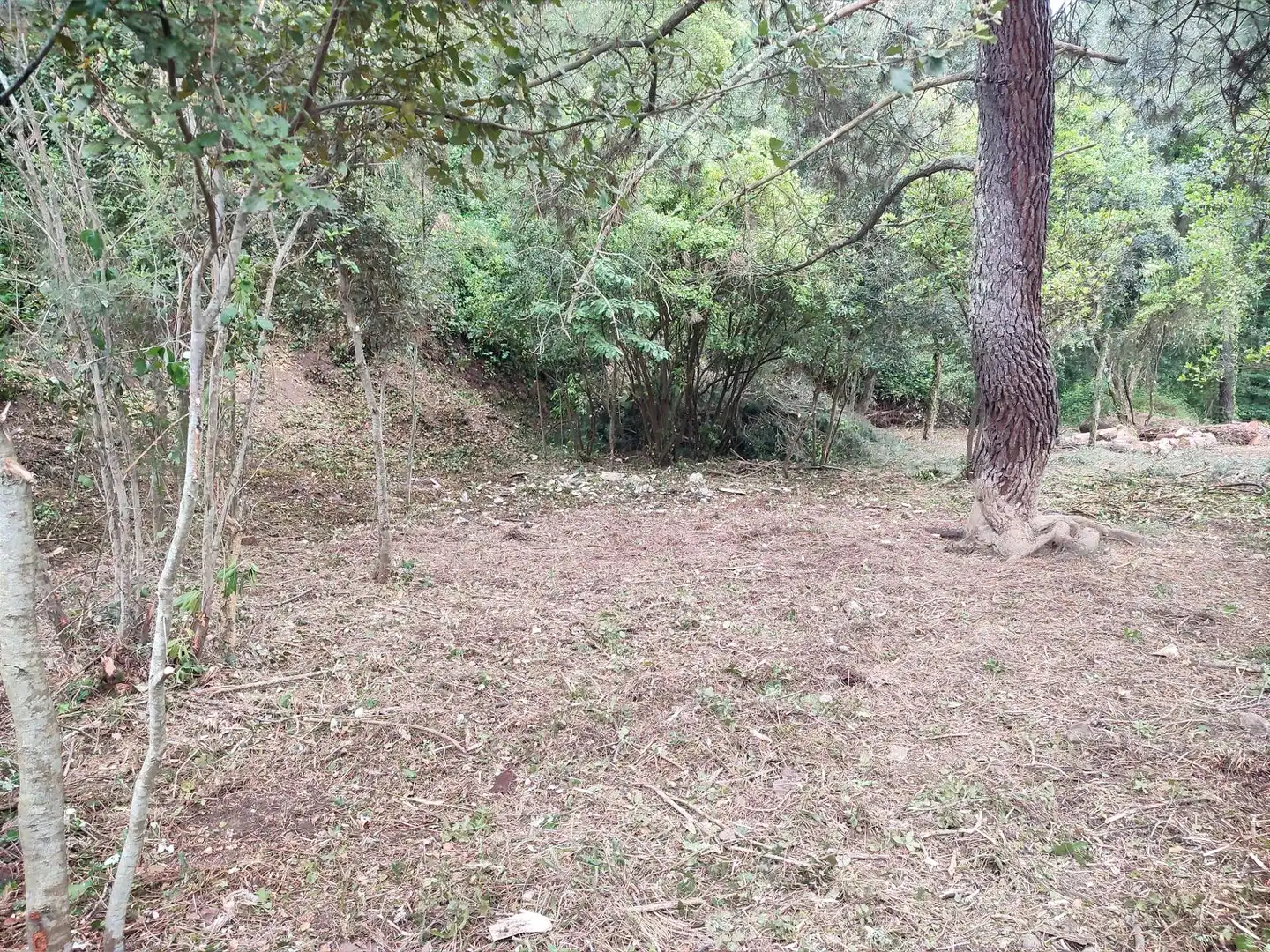 Residential for sale in Vallgorguina