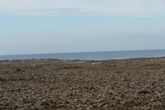Land for sale in Calle Majanicho, 1, Majanicho