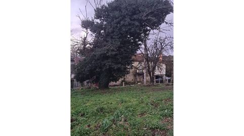Foto 4 de Casa o chalet en venta en Vilamarín, Ourense