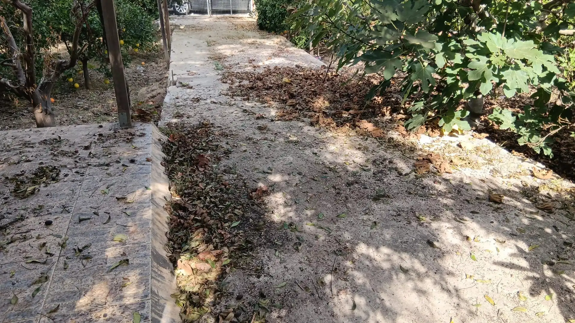 Terrenys i solars en venda a Pedanías Este, imagen 12