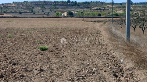 SE VENDE PARCELA EN BARBARROJA CERCA DEL PUEBLO