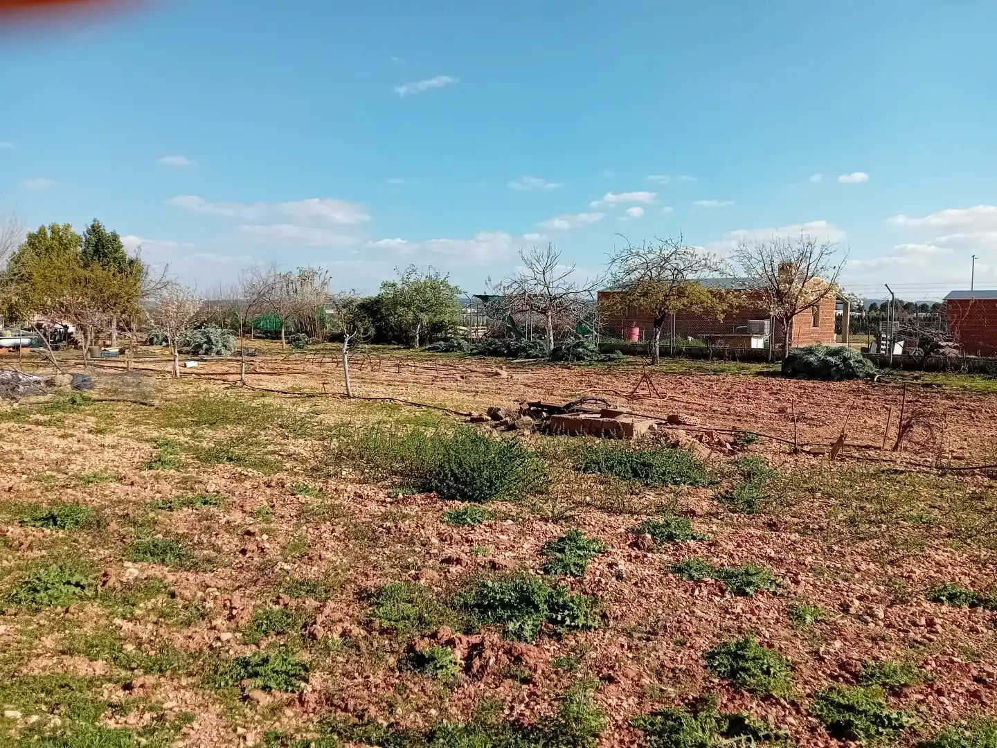 Casa o chalet en venta en Bolaños de Calatrava con Terraza, Trastero y Amueblado