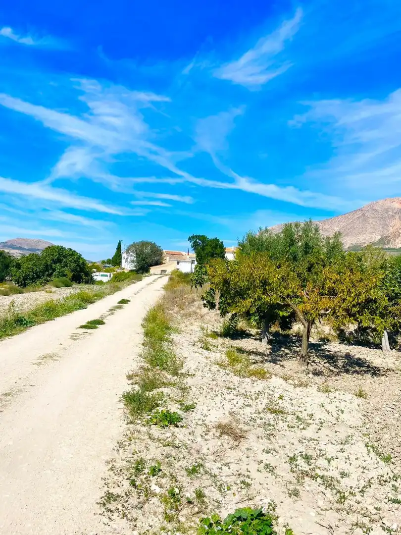 Terrenos y solares en venta en Vélez-Blanco, imagen 5