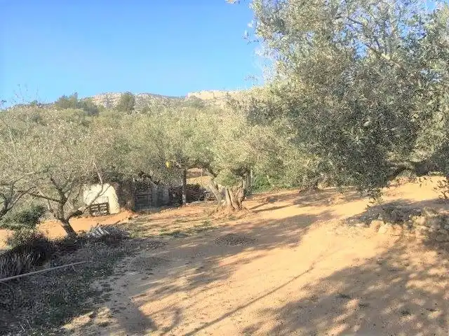 Casa o xalet en venda en Tortosa