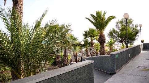 Foto 5 de Apartamento en venta en San Eugenio Alto, Adeje
