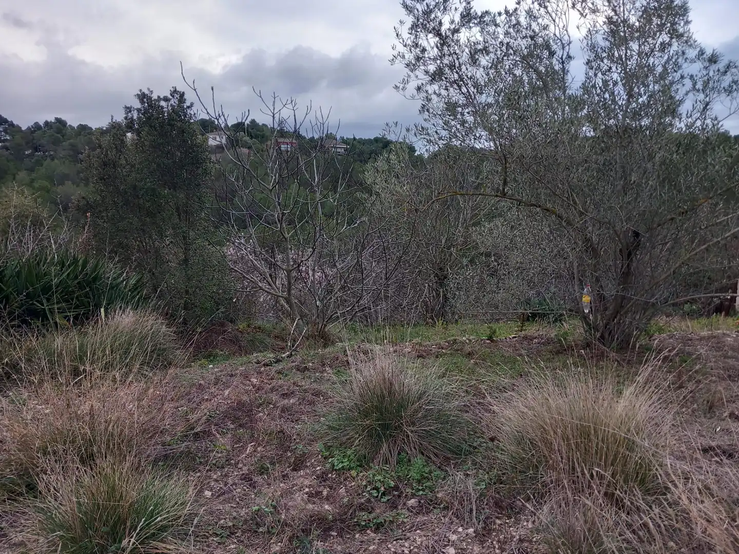 Residential land for sale in Torrelles de Foix, imagen 8