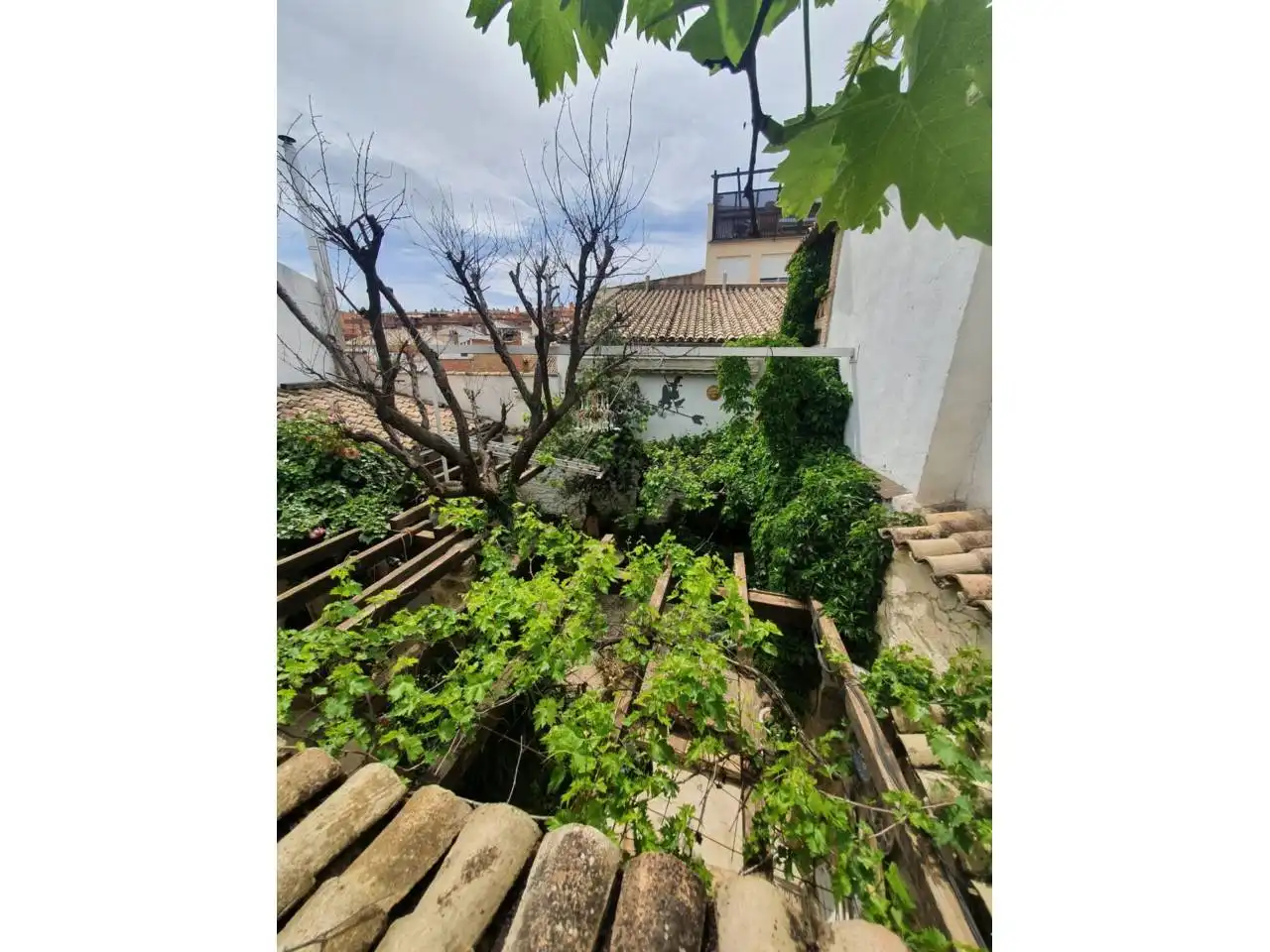 Reihenhaus mit Garten zum Verkauf in Úbeda, imagen 10