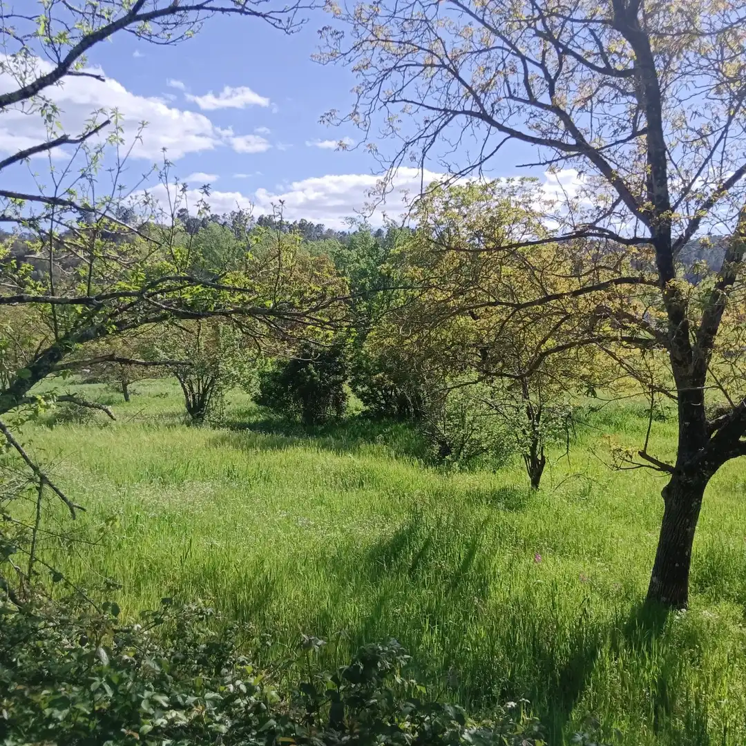 Finca rústica en venta en Castaño del Robledo