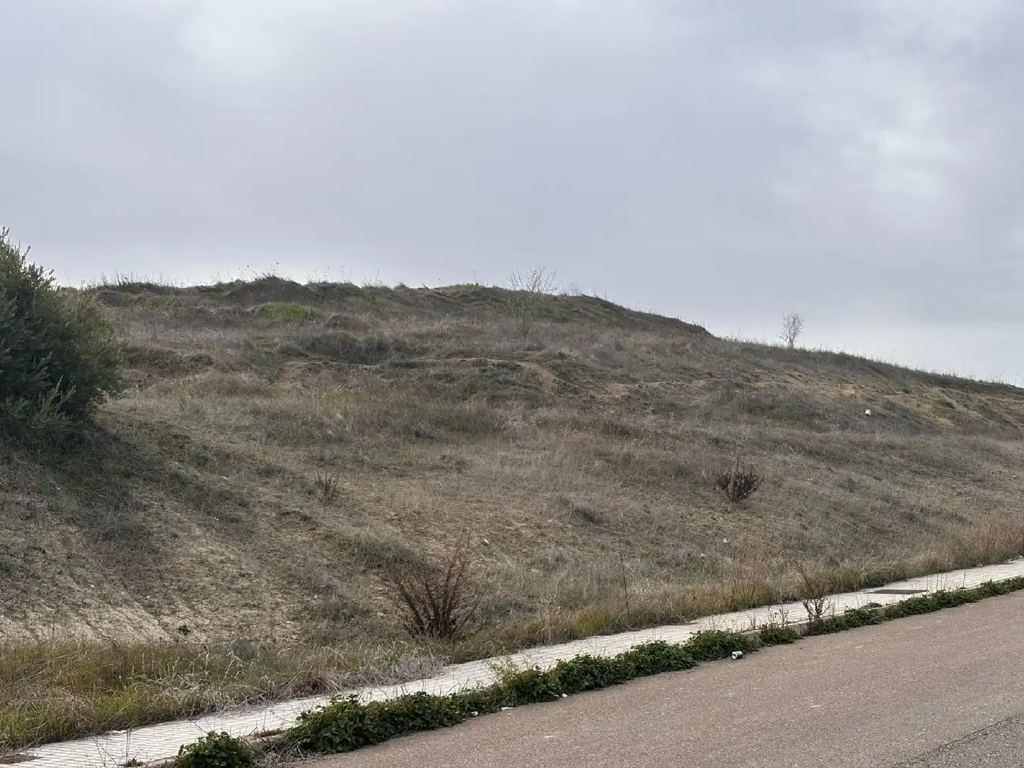 Terreni e lotti in vendita a Villanueva del Arzobispo, imagen 5