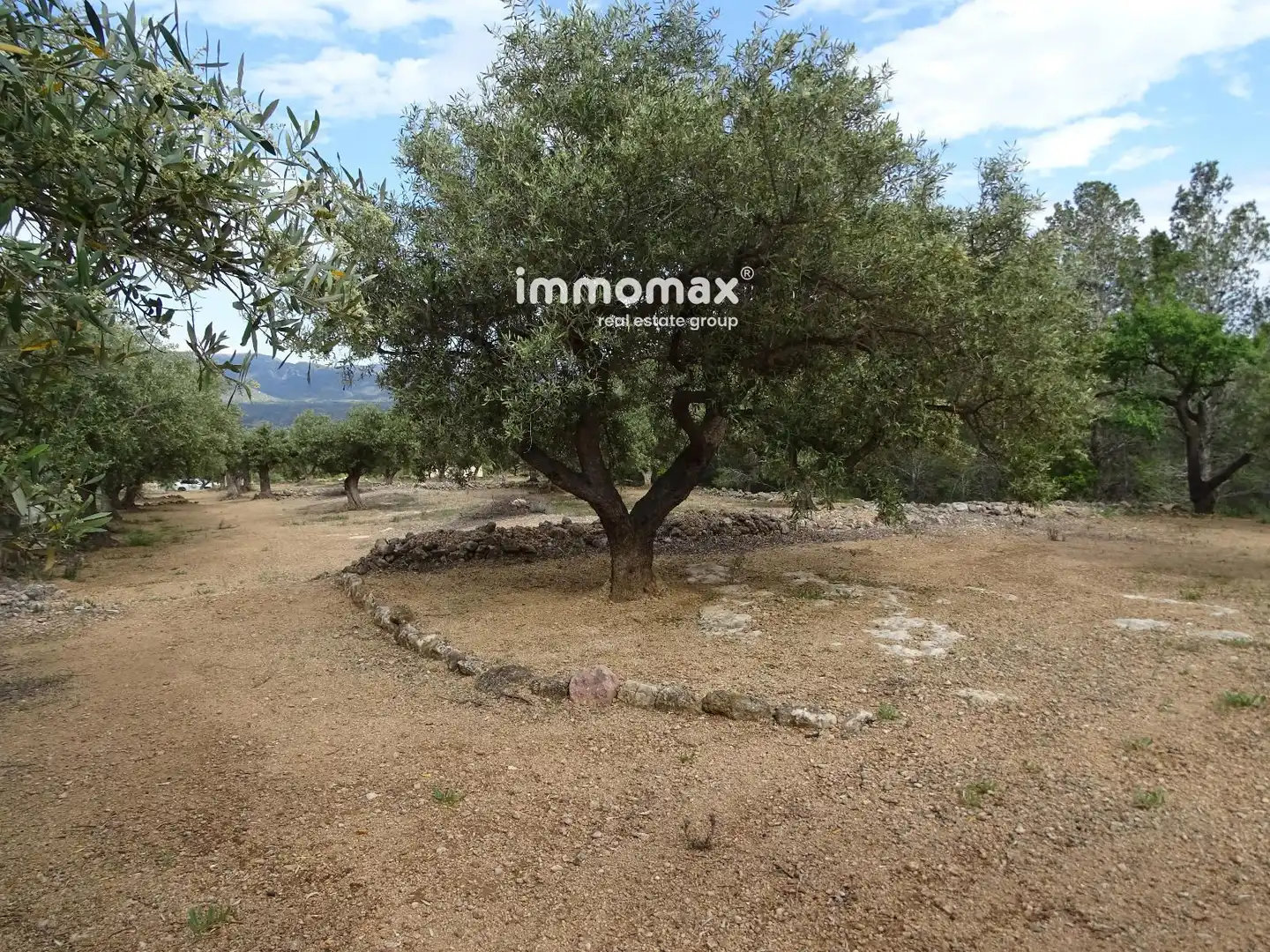 Terrain résidentiel à vendre à 16, imagen 23